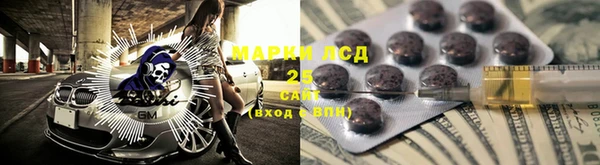 прущие грибы Баксан