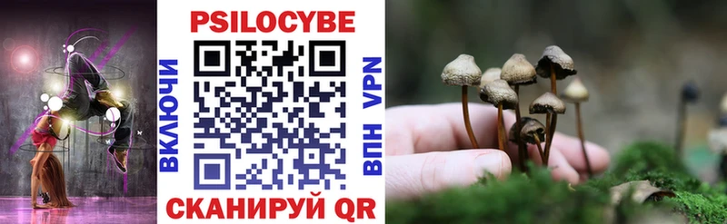 наркотики  Орлов  Псилоцибиновые грибы Psilocybe 